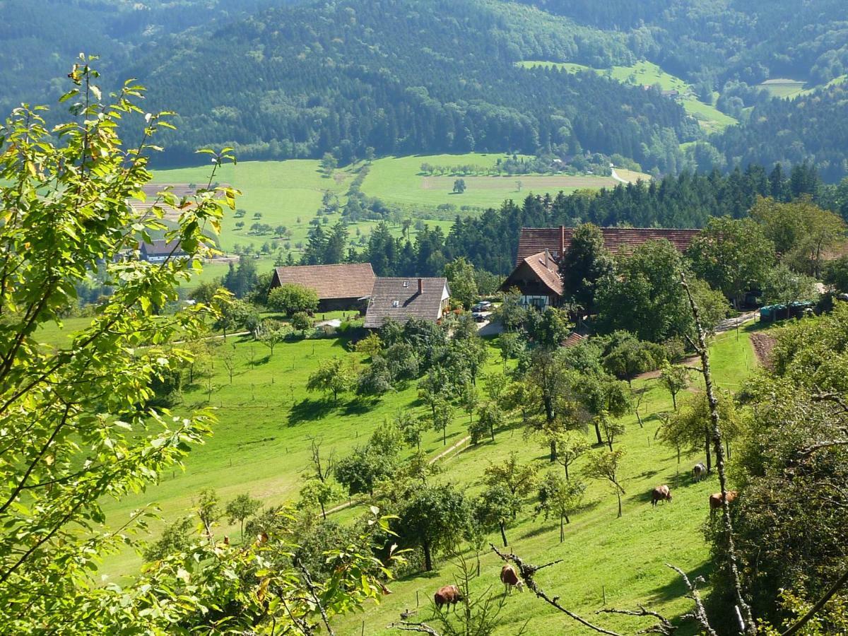 Ferienhaus Eck Villa Zell am Harmersbach Bagian luar foto