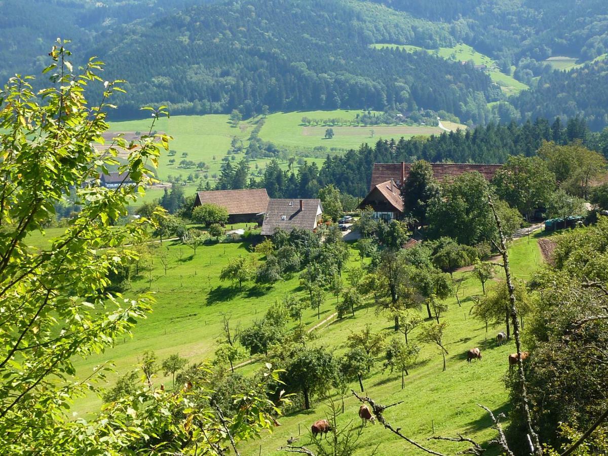 Ferienhaus Eck Zell am Harmersbach Bagian luar foto