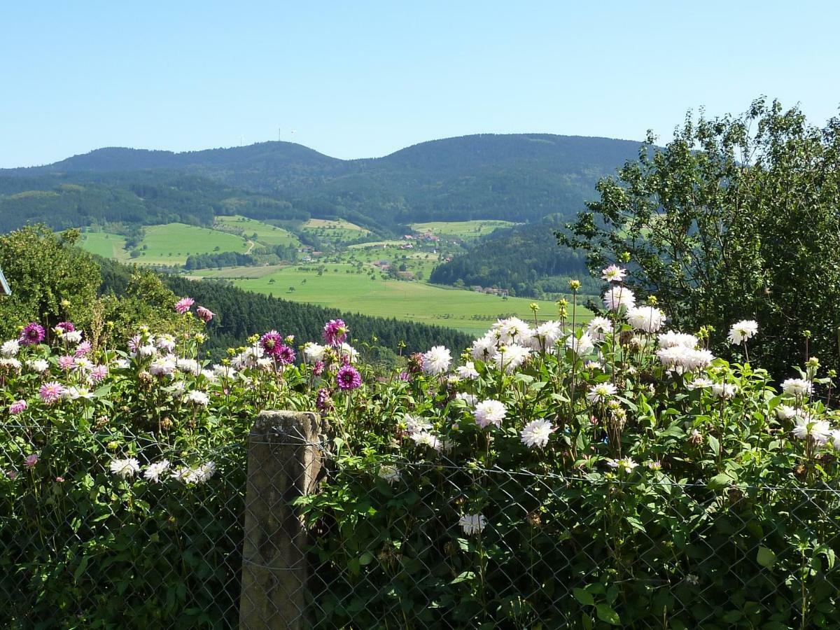 Ferienhaus Eck Villa Zell am Harmersbach Bagian luar foto