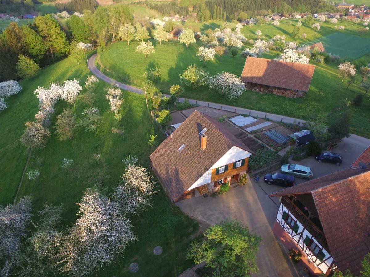 Ferienhaus Eck Villa Zell am Harmersbach Bagian luar foto